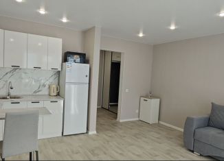 Сдаю в аренду квартиру студию, 36 м2, Благовещенск, Заводская улица, 4/5