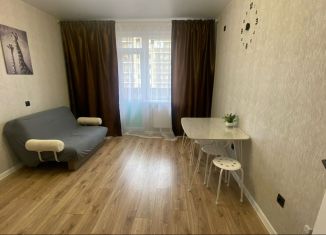 Аренда однокомнатной квартиры, 34 м2, Краснодар, улица Лётчика Позднякова, 2к21