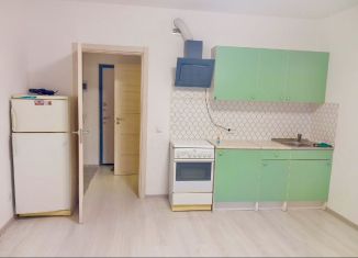 Аренда квартиры студии, 25 м2, Санкт-Петербург, проспект Будённого, 21к4, Красносельский район