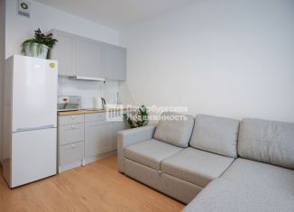 Продается квартира студия, 24.4 м2, Кудрово, проспект Строителей, 20к2