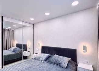 Сдам в аренду однокомнатную квартиру, 40 м2, Сочи, переулок Трунова, 6к8