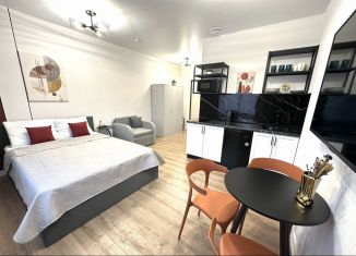 Продажа квартиры студии, 22.9 м2, Пермь, улица Яблочкова, 5к5