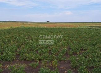 Дом на продажу, 30 м2, Республика Башкортостан, Завидовская улица, 13