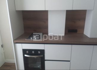 Продается 1-комнатная квартира, 31 м2, деревня Дерябиха, деревня Дерябиха, 76А