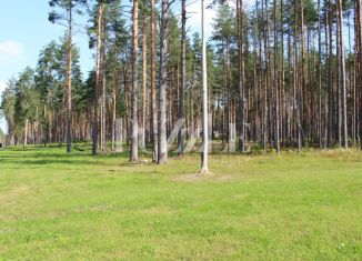 Продажа участка, 25 сот., деревня Варшко, Сосновая улица, 3/39