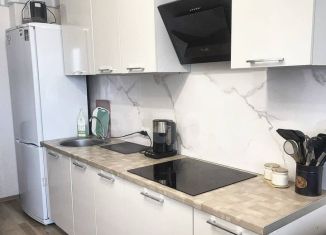 Сдам 1-ком. квартиру, 33 м2, Санкт-Петербург, Русановская улица, 16к3, метро Обухово
