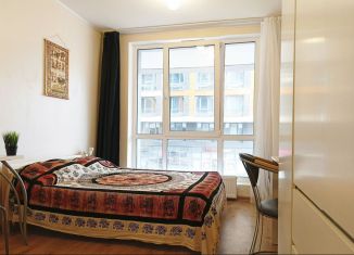 Сдается квартира студия, 25 м2, посёлок Парголово, Толубеевский проезд, 8к2