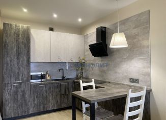 Продается однокомнатная квартира, 43.6 м2, деревня Афонино, улица Красная Поляна, 6