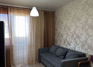Сдам в аренду квартиру студию, 25 м2, Мурино, Охтинская аллея, 8