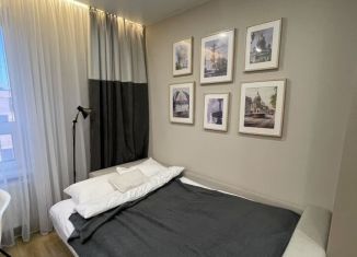 Сдаю квартиру студию, 19 м2, Санкт-Петербург, Измайловский бульвар, 1к2, метро Балтийская