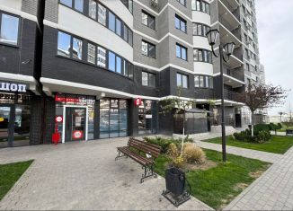 Продается торговая площадь, 63 м2, Краснодар, Адмиралтейский бульвар, 3, микрорайон Россинского