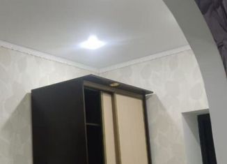 Дом в аренду, 53 м2, Республика Башкортостан, переулок Тургенева, 5/1