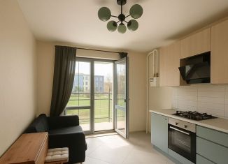 Продается однокомнатная квартира, 40.9 м2, деревня Красный Поселок, улица Конюхова, 14, ЖК Сампо