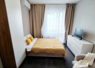 Сдается в аренду 1-комнатная квартира, 25 м2, Санкт-Петербург, проспект Будённого, 23к1, Красносельский район