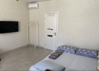 Сдаю в аренду квартиру студию, 25 м2, Элиста, микрорайон Сити-3, 32