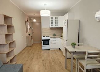 Сдача в аренду квартиры студии, 30 м2, посёлок Парголово, Толубеевский проезд, 8к2