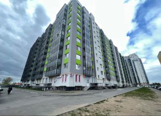 Продам квартиру студию, 25 м2, городской посёлок имени Свердлова, Западный проезд, 13/1, ЖК Невские Панорамы