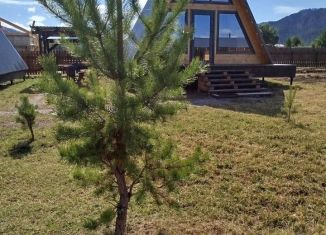 Сдаю в аренду дом, 33 м2, Республика Алтай, Солнечная улица, 3