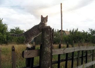 Продажа дома, 30 м2, Крым, Вишнёвая улица