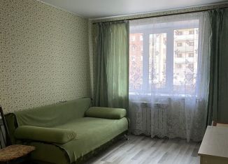 Сдается однокомнатная квартира, 45 м2, Йошкар-Ола, улица Петрова, 11А, микрорайон Центральный