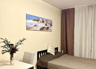 Продаю квартиру студию, 26 м2, Санкт-Петербург, Пулковское шоссе, 14Д