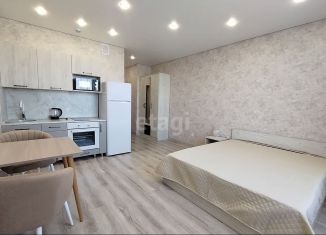 Аренда квартиры студии, 26 м2, Екатеринбург, улица Фрунзе, 31, метро Геологическая