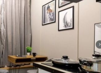 Квартира на продажу студия, 10 м2, Санкт-Петербург, улица Новостроек, 21/16, Кировский район