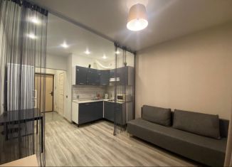 Сдаю квартиру студию, 21 м2, Кудрово, Пражская улица, 15