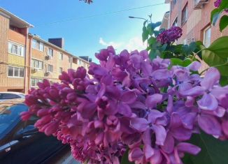 Продажа однокомнатной квартиры, 35 м2, поселок Верхнетемерницкий, улица Канта, 3