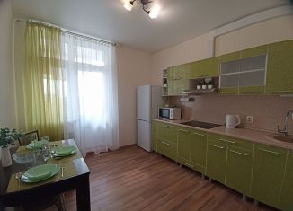 Сдается в аренду однокомнатная квартира, 45 м2, Краснодар, Восточно-Кругликовская улица, 18, Прикубанский округ