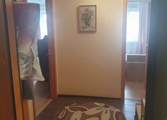 Двухкомнатная квартира в аренду, 50 м2, посёлок Парголово, улица Михаила Дудина, 25к1