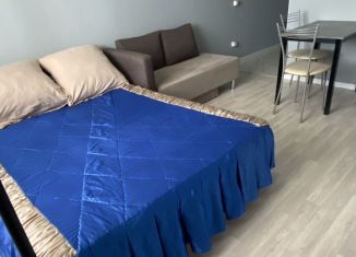 Сдаю квартиру студию, 25 м2, Оренбург, Уральская улица, ЖК Дубки