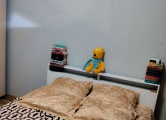 Сдам квартиру студию, 24 м2, Котельники, улица Строителей, 5