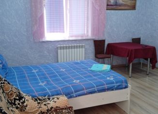 Сдача в аренду 1-комнатной квартиры, 30 м2, Йошкар-Ола, Медицинская улица, 6А