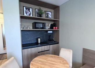 Аренда квартиры студии, 20.7 м2, Москва, Ленинский проспект, 158, ЗАО
