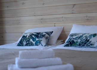 Сдача в аренду дома, 30 м2, село Аюла, Катунская улица