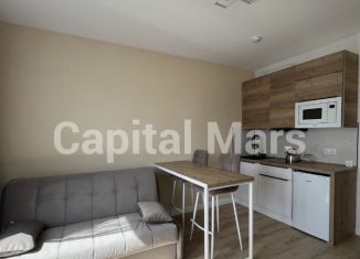 Сдам 1-комнатную квартиру, 20 м2, Санкт-Петербург, проспект Крузенштерна, 4, метро Приморская