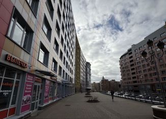 Продается помещение свободного назначения, 88 м2, Санкт-Петербург, набережная реки Смоленки, 3к1, муниципальный округ Остров Декабристов