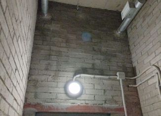 Аренда гаража, 10 м2, Бугры, улица Шекспира, 5