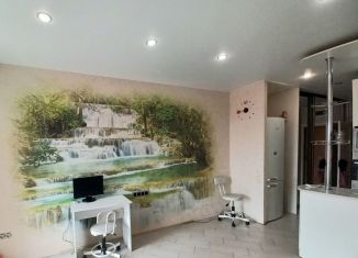 Продам квартиру студию, 25.7 м2, Сочи, Виноградная улица, 135/13, микрорайон Новый Сочи