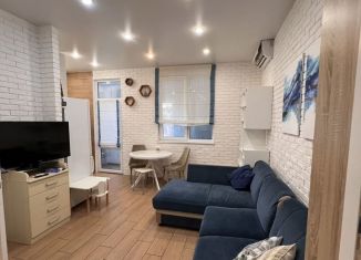 Однокомнатная квартира в аренду, 50 м2, Сочи, Виноградная улица, 123/7, микрорайон Новый Сочи