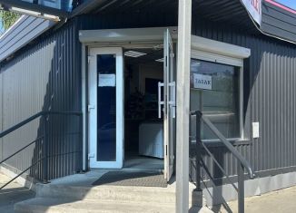 Продаю торговую площадь, 50 м2, Верхняя Пышма, Лесная улица, 42А