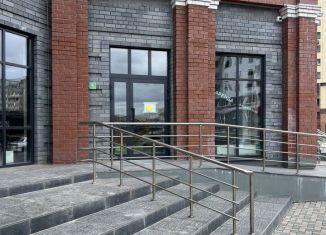 Сдам помещение свободного назначения, 68 м2, Тверь, улица Левитана, 48к3