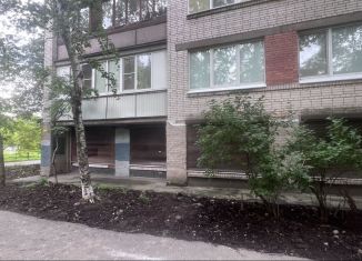 Продам помещение свободного назначения, 107 м2, Санкт-Петербург, Дачный проспект, 16к6, Кировский район