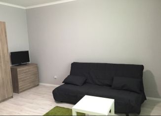 Сдается в аренду квартира студия, 24 м2, Барнаул, Северный Власихинский проезд, 112