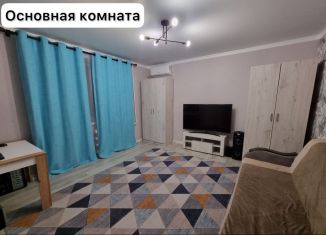 Сдача в аренду 1-комнатной квартиры, 40 м2, Кизляр, улица 40 лет Дагестана, 18