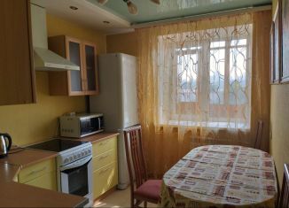Однокомнатная квартира в аренду, 36 м2, Екатеринбург, улица Мамина-Сибиряка, 59, улица Мамина-Сибиряка