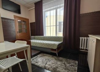 Дом в аренду, 20 м2, село Чарышское, Партизанская улица, 33