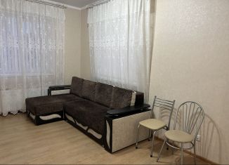 Сдается однокомнатная квартира, 39 м2, Курганинск, улица Чапаева, 48А