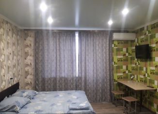Квартира в аренду студия, 25 м2, Невинномысск, Революционная улица, 262